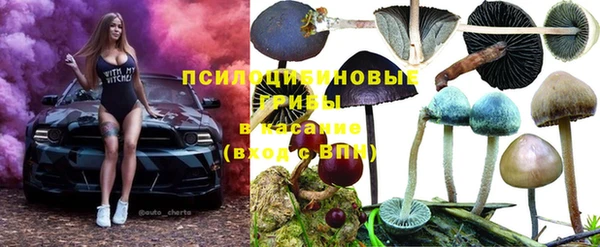 MESCALINE Белокуриха