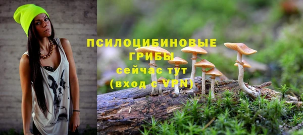 эйфоретик Беломорск