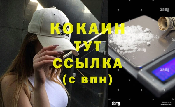 эйфоретик Беломорск