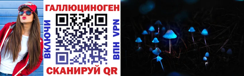 Псилоцибиновые грибы Psilocybine cubensis  Моздок 